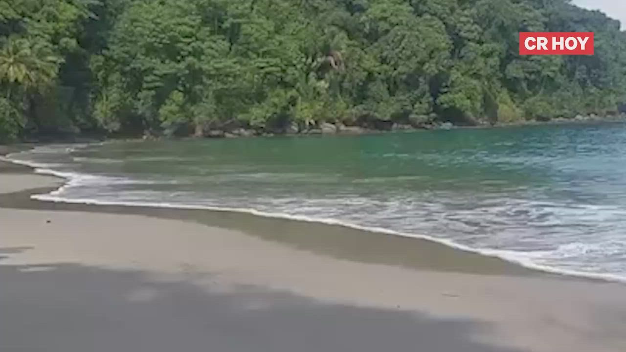 video-0-r7dkzc