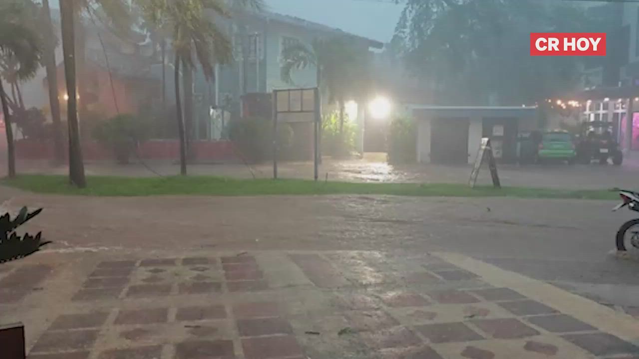 video-0-8cecfkk