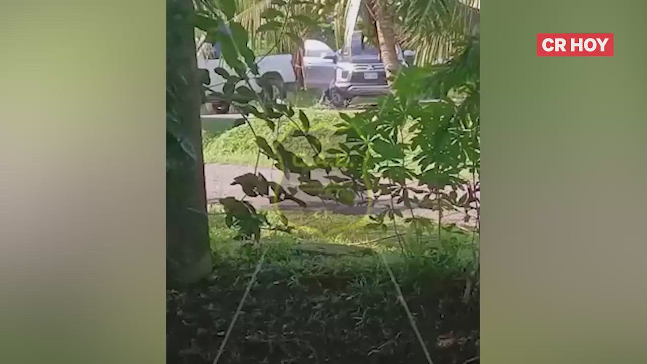 video-0-pciek