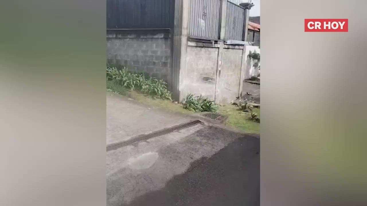 video-0-tifg35
