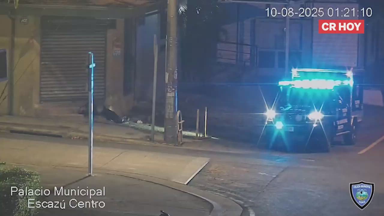 video-0-mwwztf