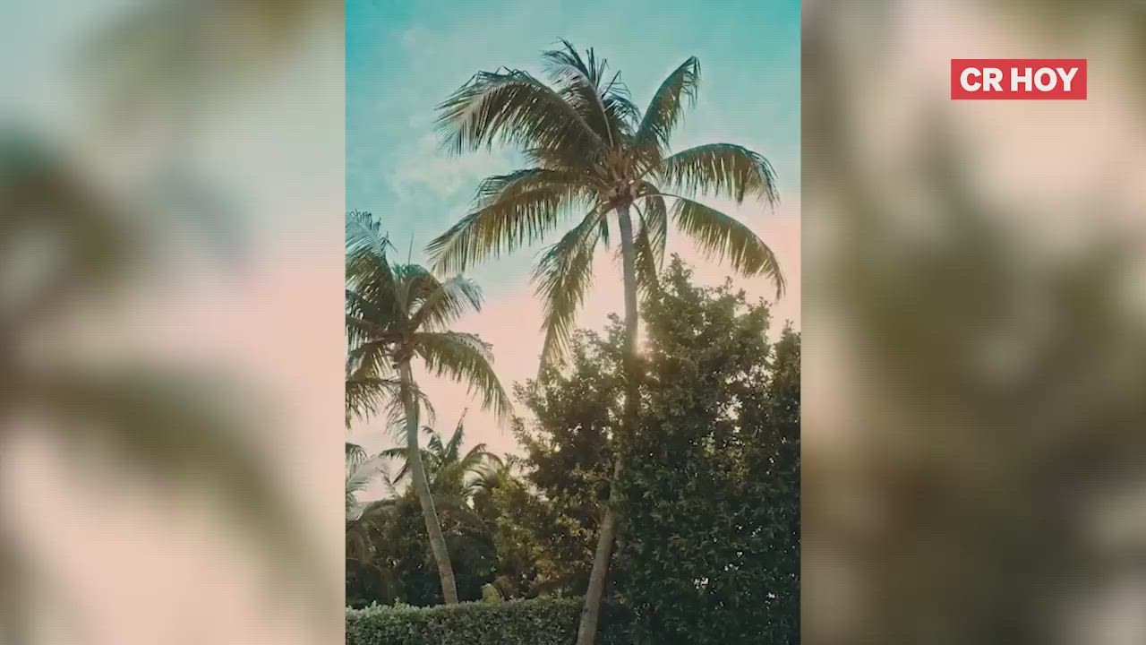 playlist-video-0-7jyxlr