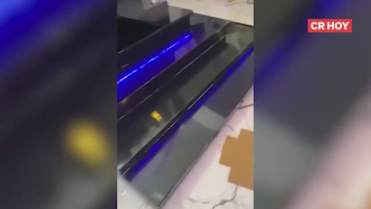 video-0-6pjgjn