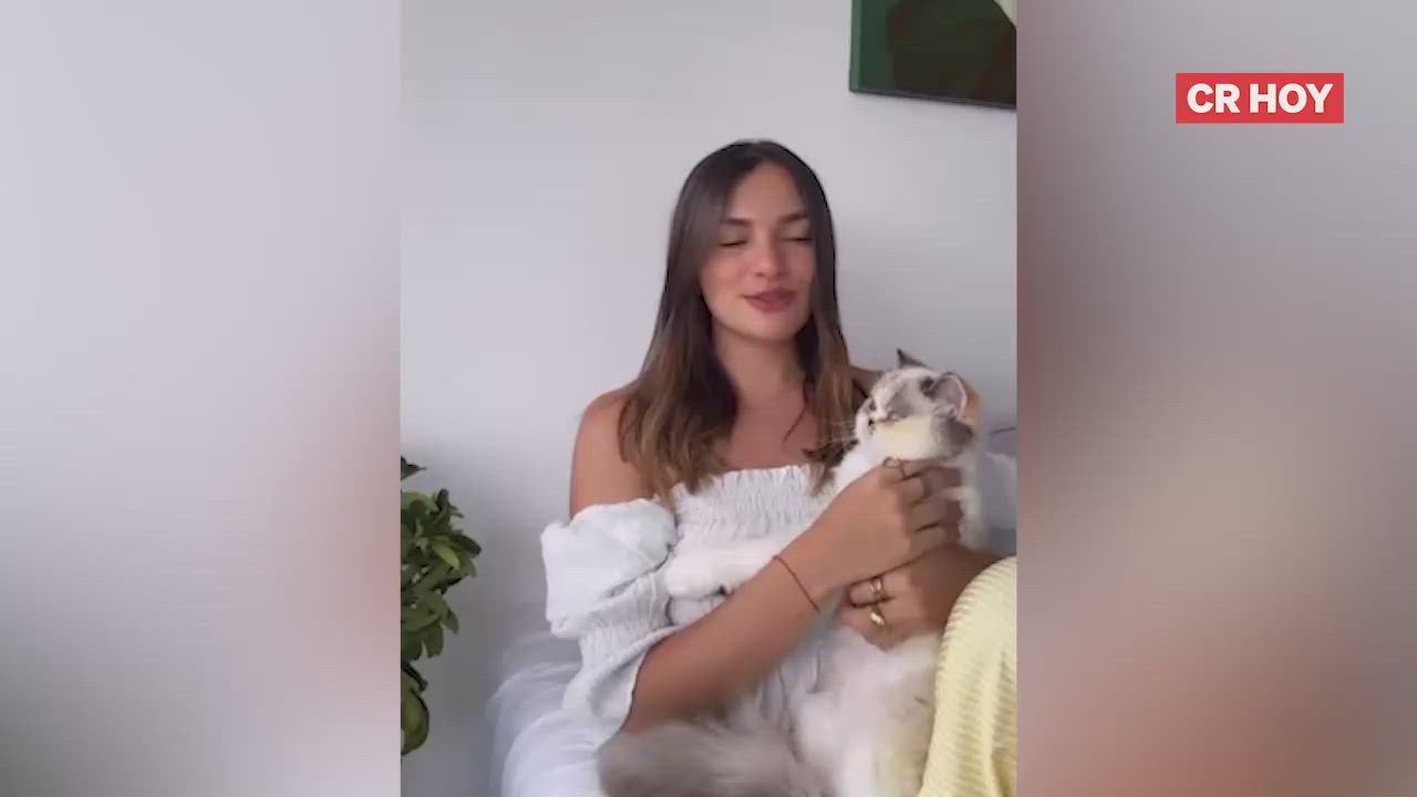 video-0-wa4zsn