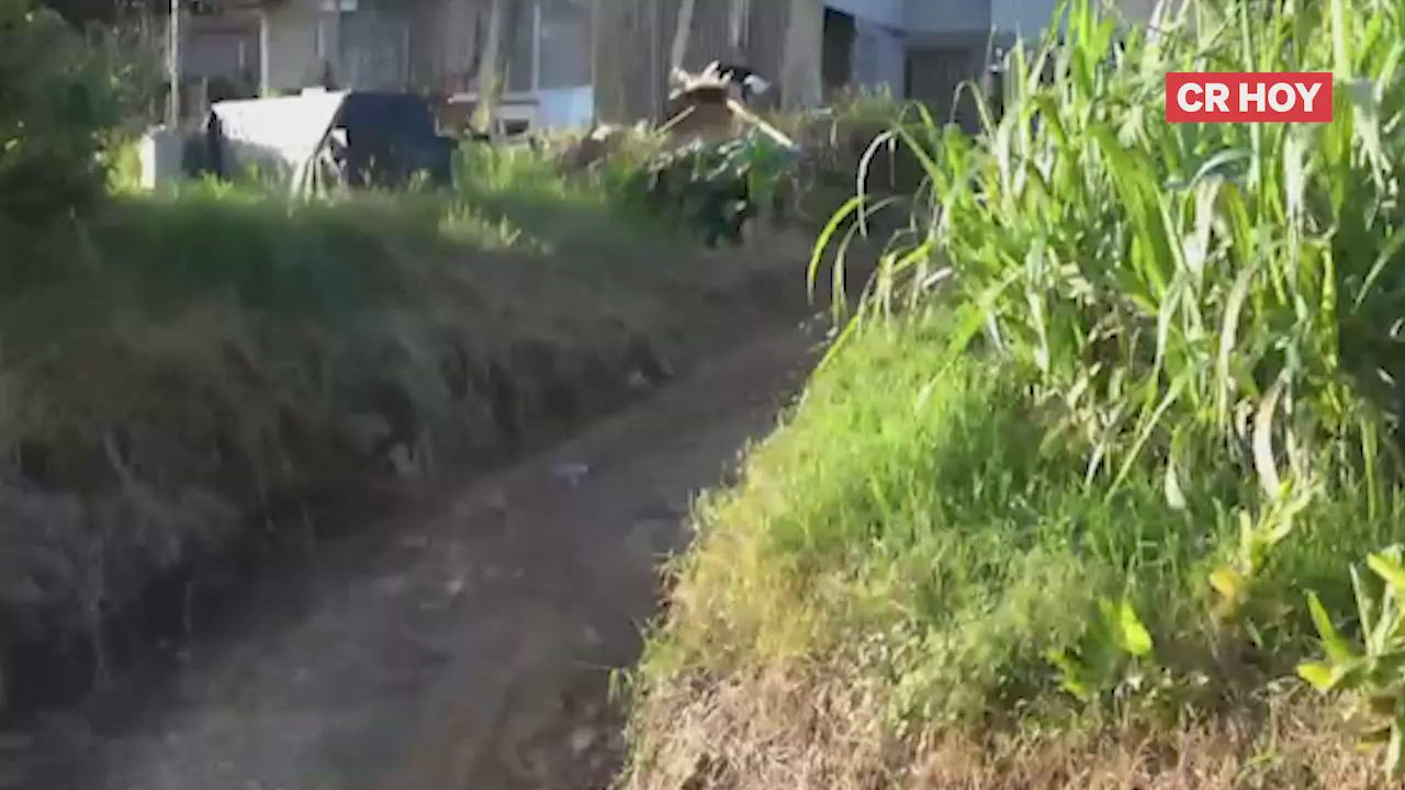 video-0-ni1z5