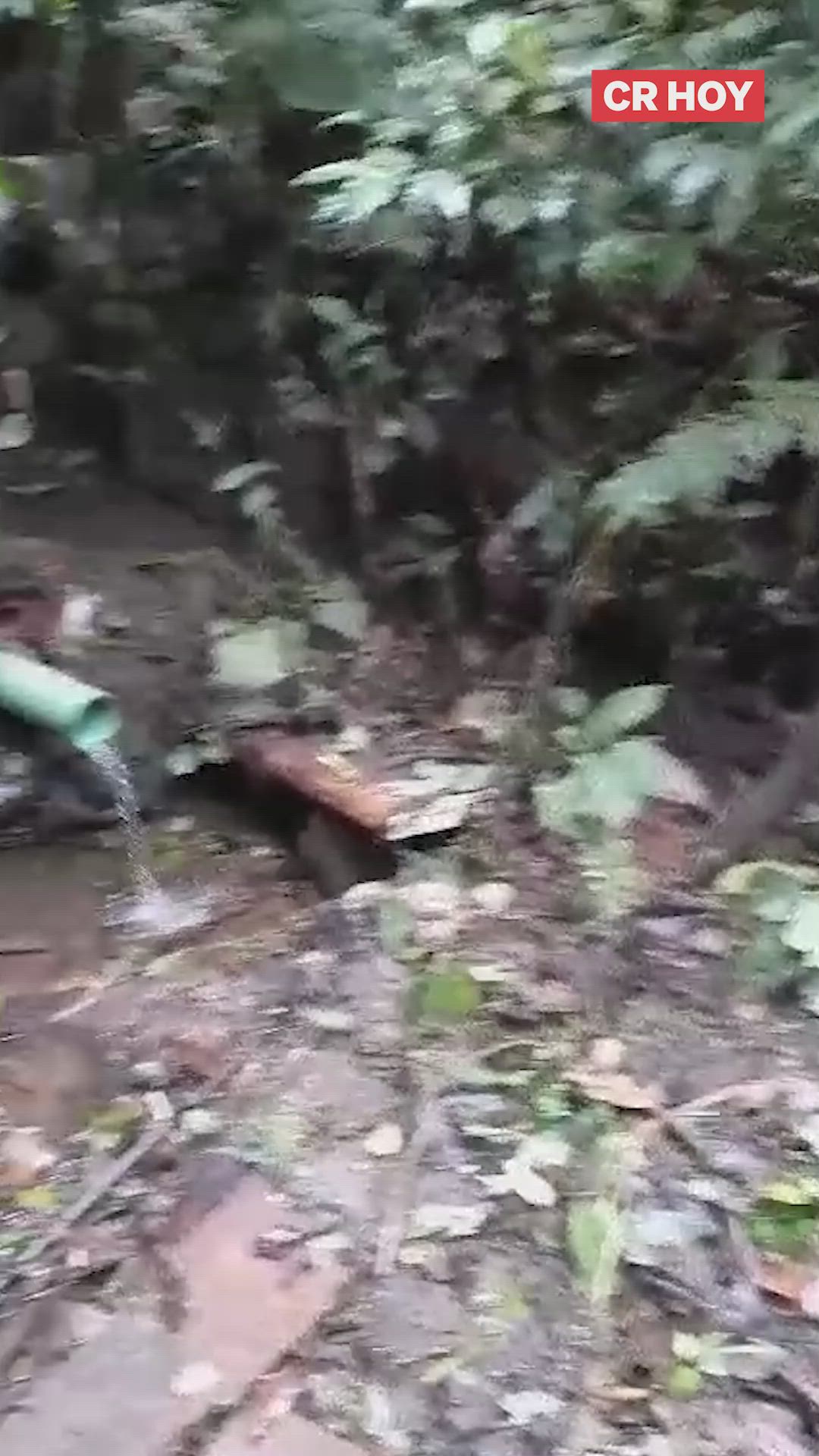 video-0-qwk0u