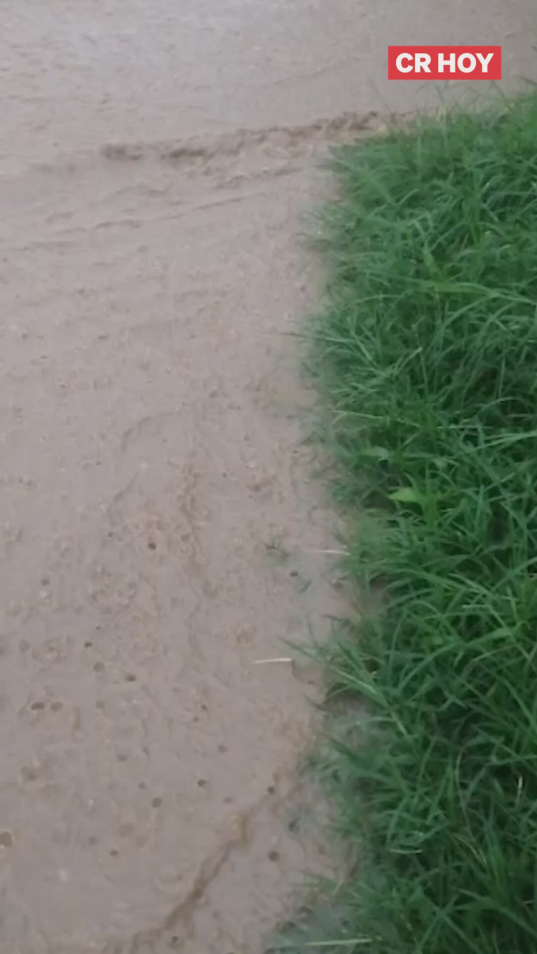 video-0-tmhjbf