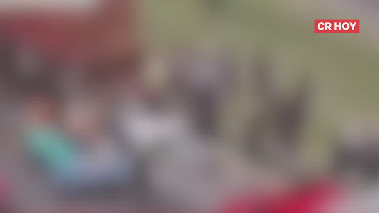 video-0-oleqki
