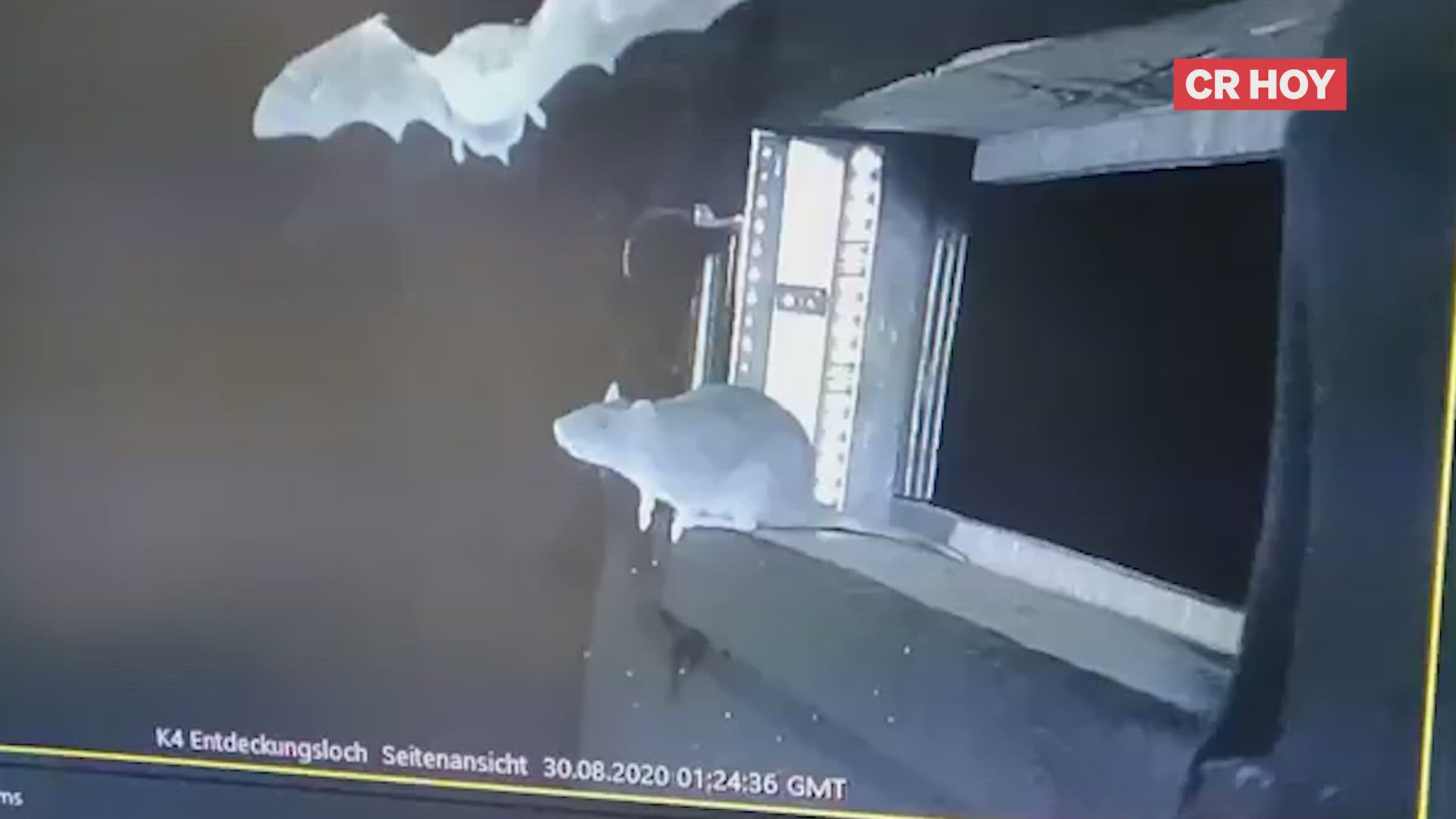 playlist-video-0-gdd42