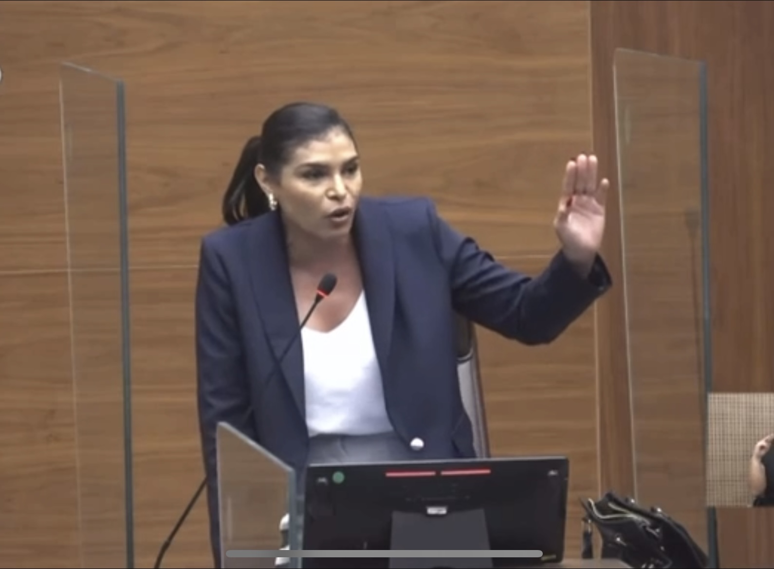 Johana Obando, diputada independiente