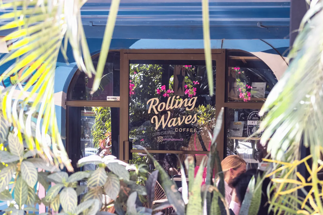 Rolling Waves