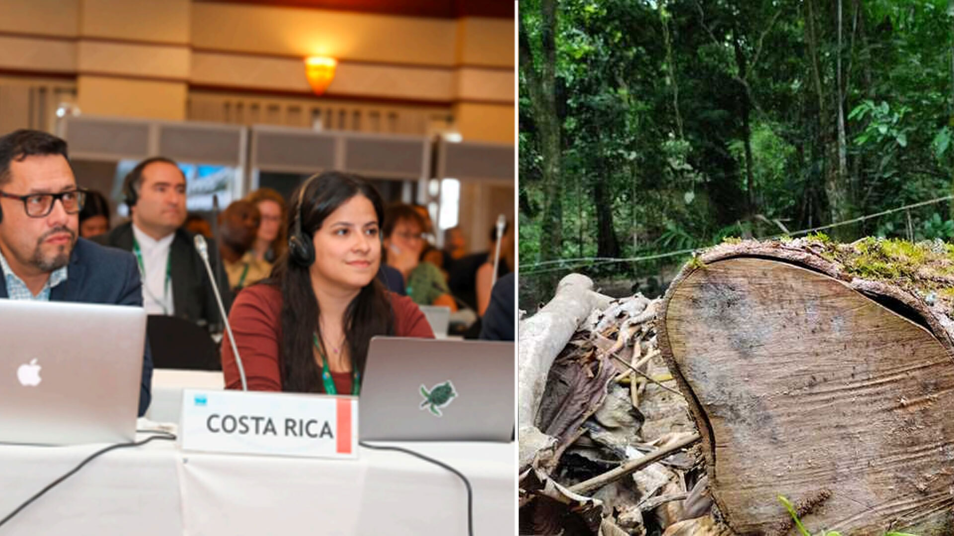 Representación de Costa Rica en la COP15.