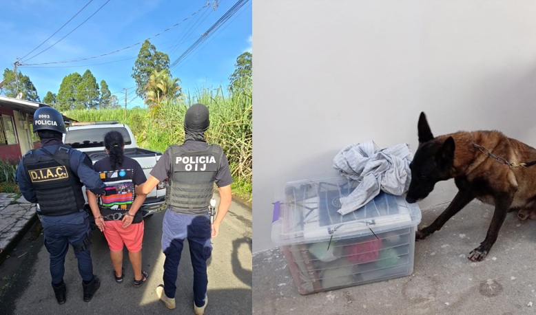 Detenida por el OIJ de Turrialba en Juan Viñas