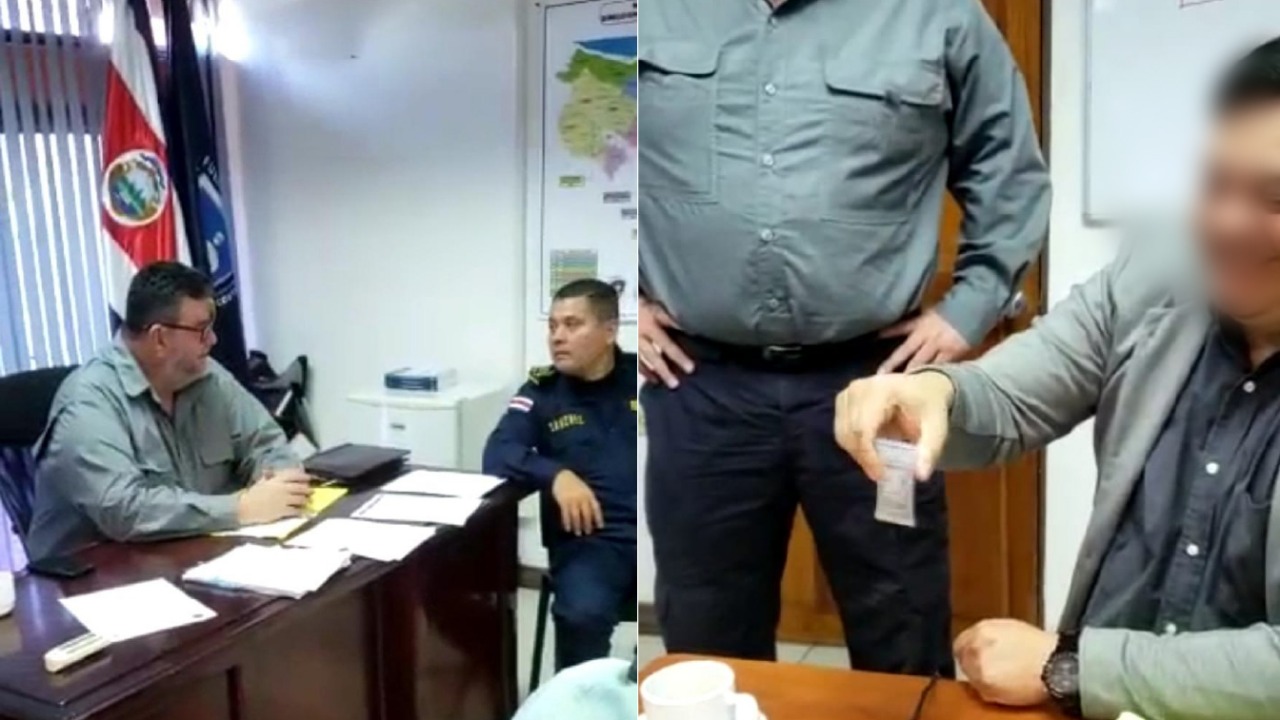 El empresario ofreció un negocio de pruebas para detección de THC en cultivos de cáñamo
