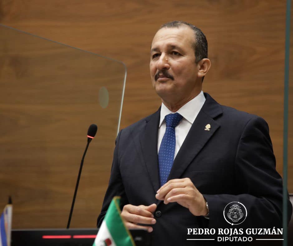 Pedro Rojas Guzman PLN
