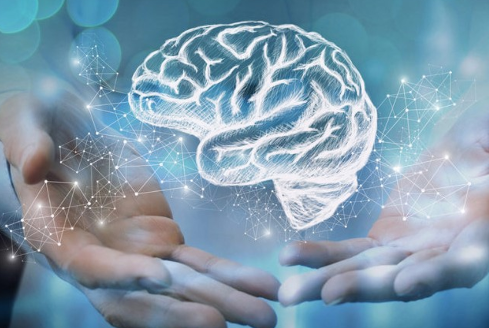 WHO: Global Policies Fall Short in Combatting Neurological Disorders Impacting 3B