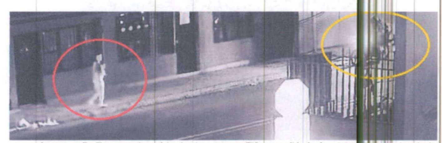 Videos de desaparición de Tiffany