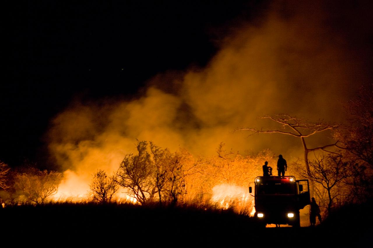 Incendios en el oeste de Estados Unidos dejan tres bomberos muertos y miles de hectáreas arrasadas. Imagen ilustrativa.