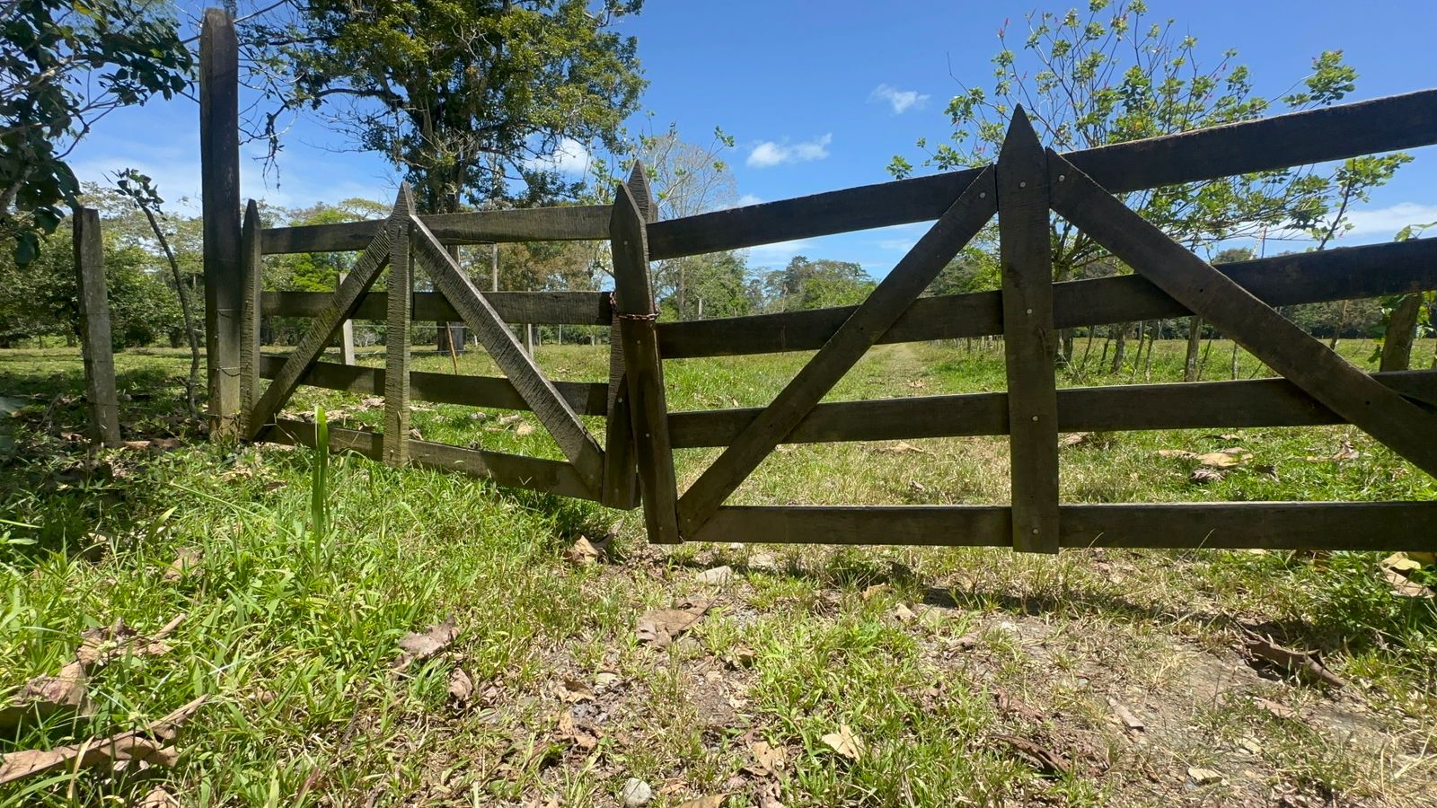 Finca Los Ángeles, Sixaola, vinculada policialmente con Pecho de Rata. Foto: Joel Morales