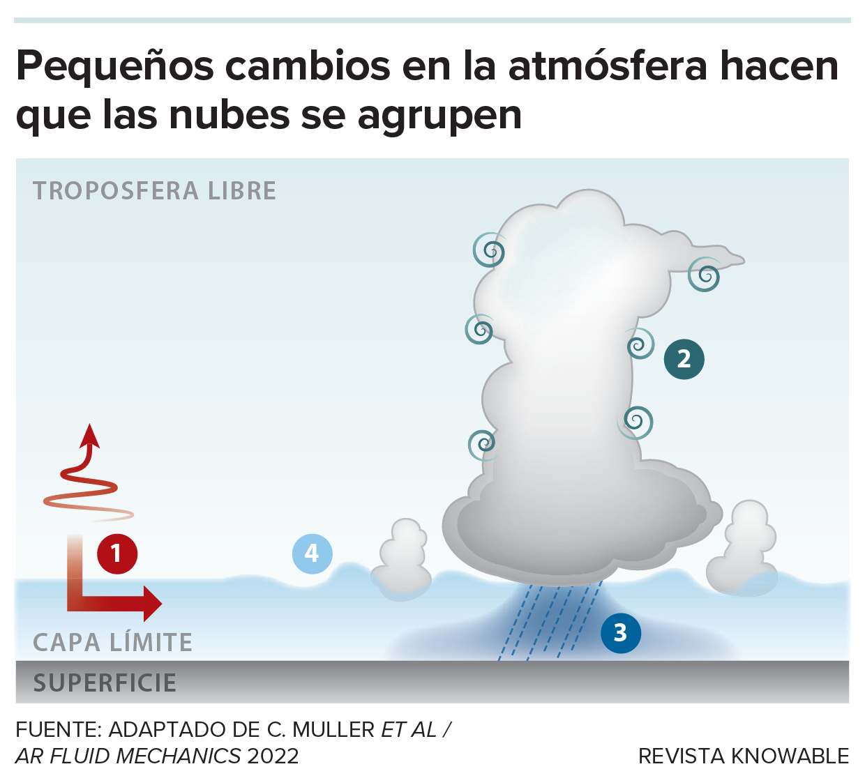 Desde los niveles más bajos de la atmósfera hasta las regiones más altas conocidas como troposfera libre, varios fenómenos contribuyen a la formación y agrupación de las nubes. Entre ellos se incluyen el enfriamiento radiativo (1), en el que el calor solar rebota desde la superficie de la Tierra a través de cielos despejados de vuelta al espacio, provocando el enfriamiento de partes de la atmósfera, así como la mezcla (2) en los bordes de las nubes, que mantiene las nubes unidas. Otros procesos (3 y 4) implican perturbaciones adicionales que pueden afectar al comportamiento de las nubes.