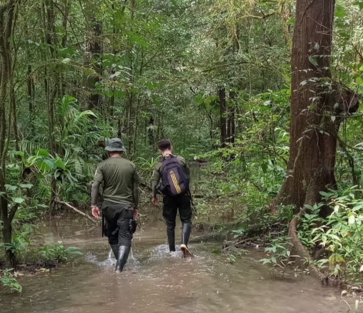 Guardaparques trabajando en zonas protegidas