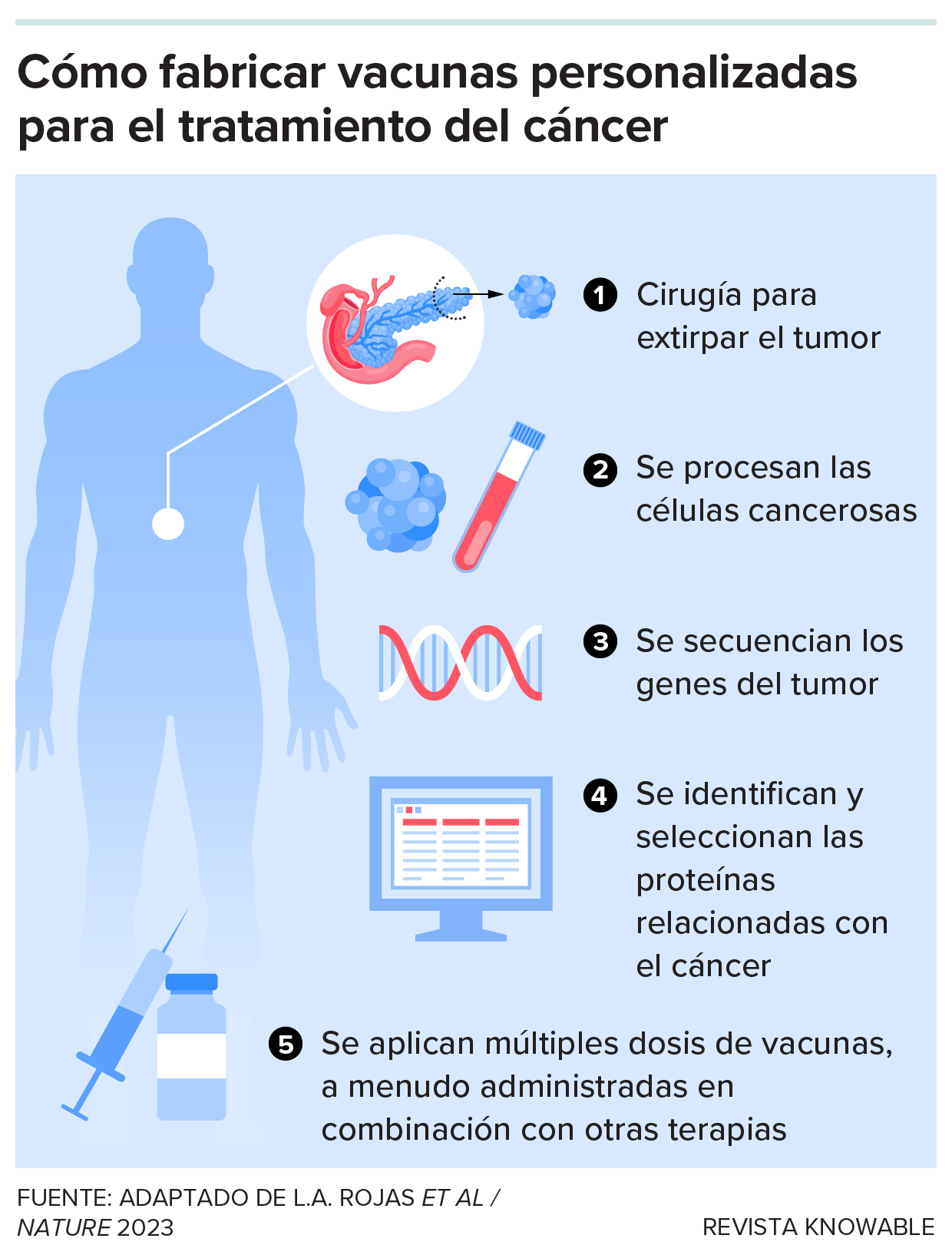 Las vacunas terapéuticas contra el cáncer se basan en mutaciones específicas del tumor de cada paciente. Una vez extirpado el tumor, los científicos recogen las células y analizan sus genes en busca de mutaciones. A continuación, crean vacunas personalizadas con esas mutaciones.
