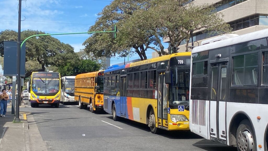 Buses