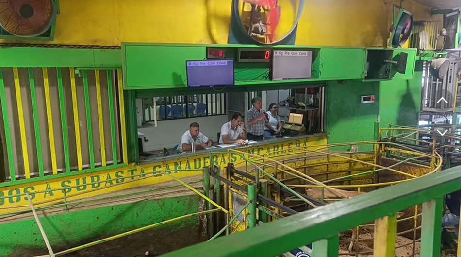 Subasta Ganadera de San Carlos valora cierres temporales